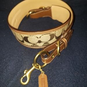 Belt